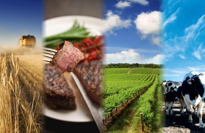 Сельское хозяйство – точка роста Сузунского района