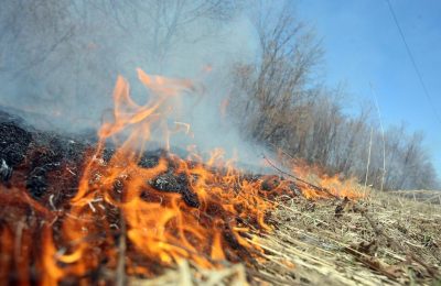 Пожароопасный сезон в регионе начнется с 23 апреля