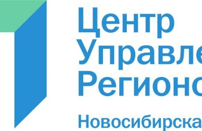 Как подать обращение в органы власти, не выходя из дома