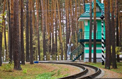 4,5 млн рублей направят на «Караканский бор» и «Заельцовский парк»