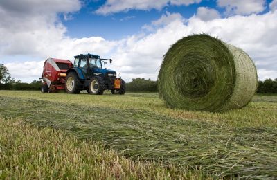 Губернатор Андрей Травников поручил минсельхозу Новосибирской области тщательно отслеживать темпы заготовки кормов