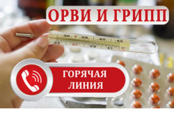 «Горячая линия» по вопросам профилактики гриппа и ОРВИ заработала в Новосибирской области