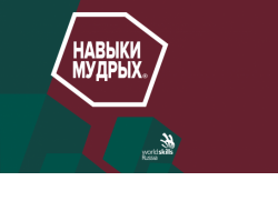 В Новосибирской области стартует Финал IV Национального чемпионата «Навыки мудрых»