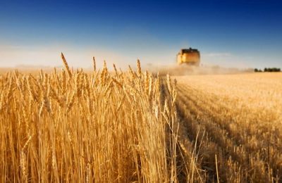 2021 — прорывной год в сельском хозяйстве