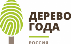 Поддержать «Тургеневский дуб» могут жители области на международном конкурсе «Европейское дерево года-2022»