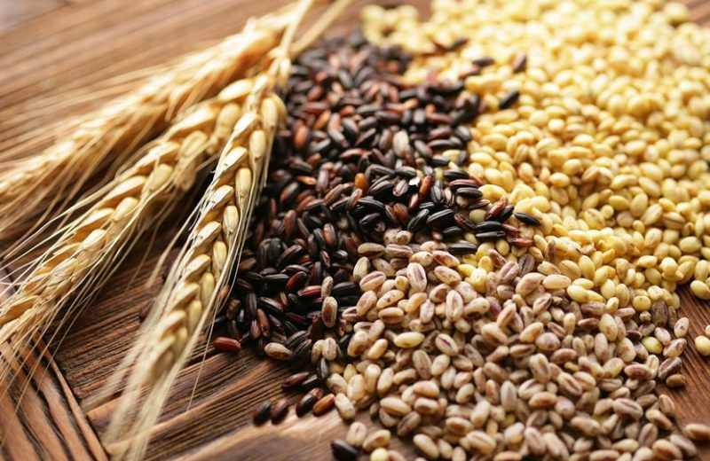 Семена экспорт. Семена масличных культур. Зерновые и зернобобовые культуры. Злаковые масличные культуры. Зерно.