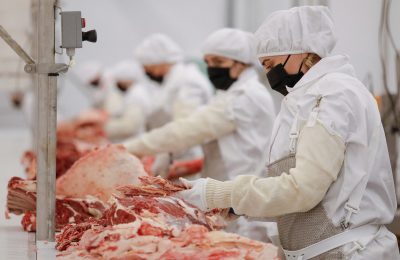 Курс на переработку: от продажи сырого мяса к готовой продукции
