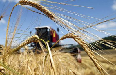 С 31 мая открыт прием документов на субсидию сельхозкооперативам
