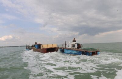 Рыбохозяйственные предприятия региона выловили на 500 тонн больше сазанов и карасей