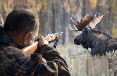 В Сузунском районе Новосибирской области выявлен факт незаконной охоты