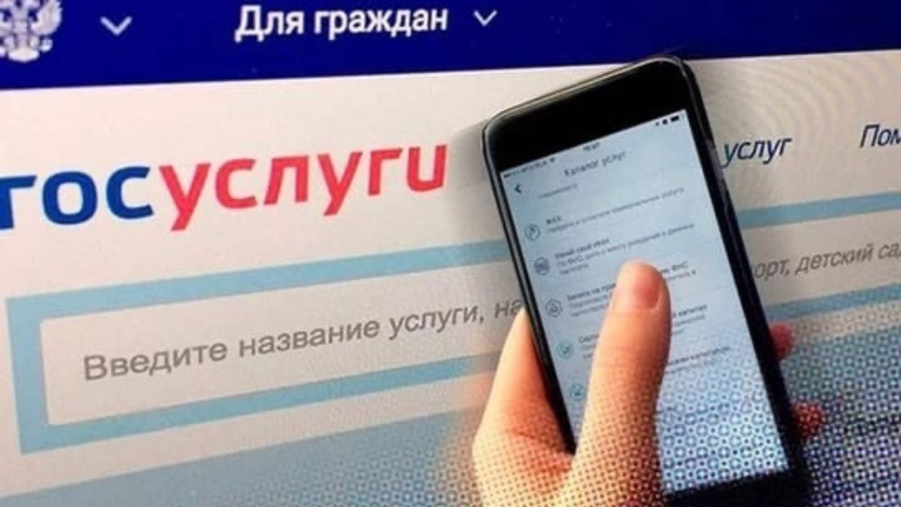 В Новосибирской области семьи мобилизованных граждан смогут оформить льготы  через портал Госуслуг - suzungazeta.ru