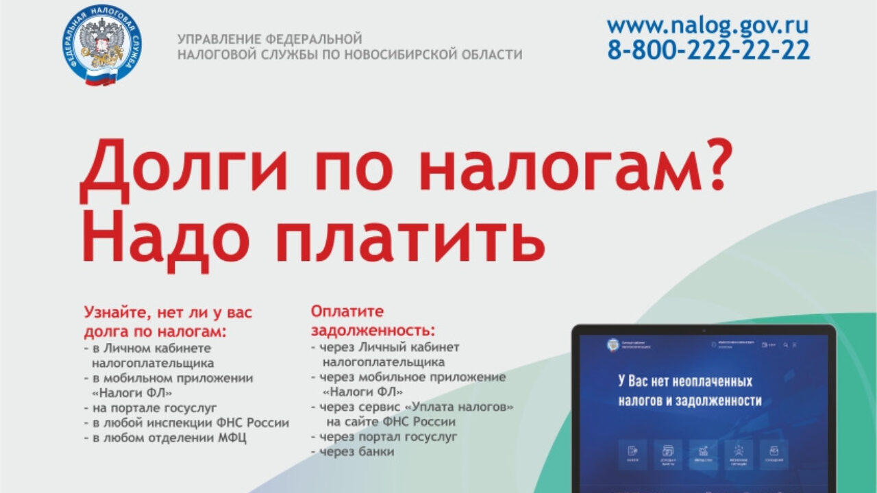 Как проверить долги по налогам: рекомендации УФНС России по Новосибирской  области - suzungazeta.ru