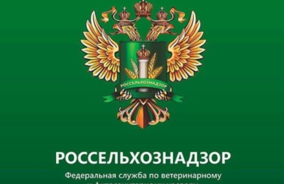 Как не допустить поступление в оборот некачественных семян и посадочного материала