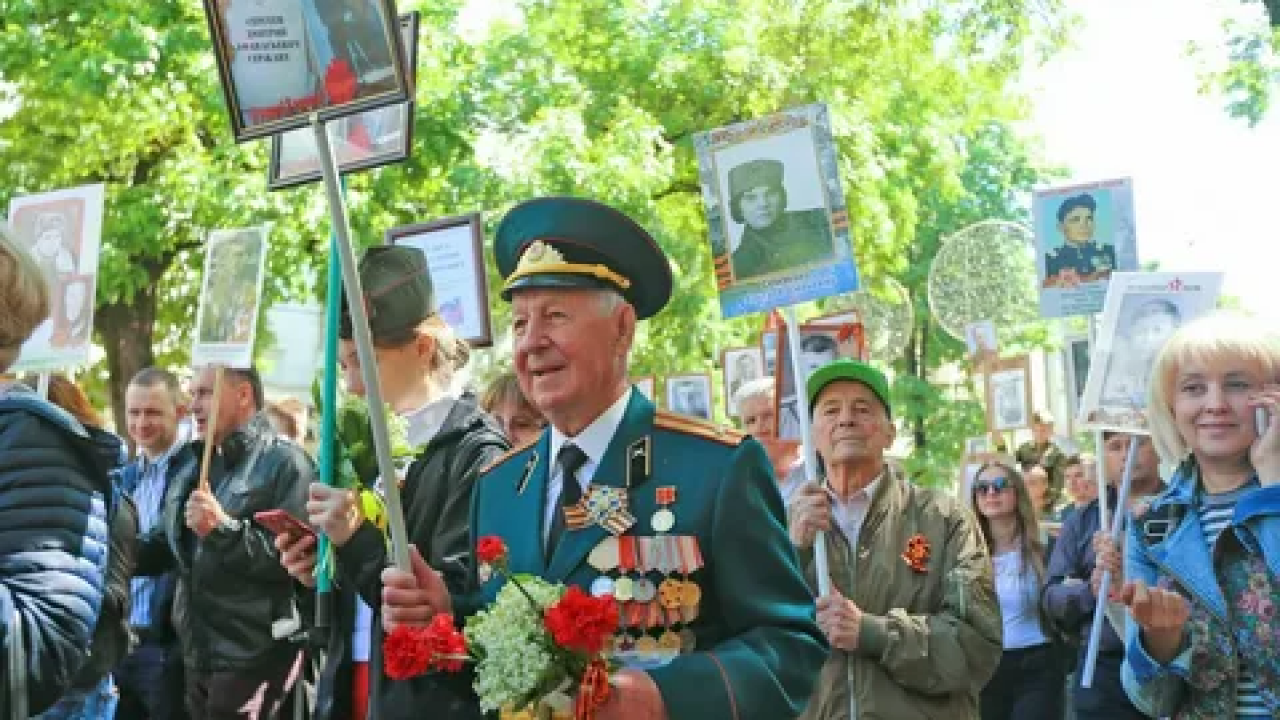 Бессмертный полк поиск по фамилии участников вов архив