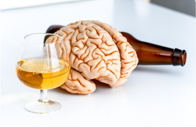 Влияние алкоголя на нервную систему человека