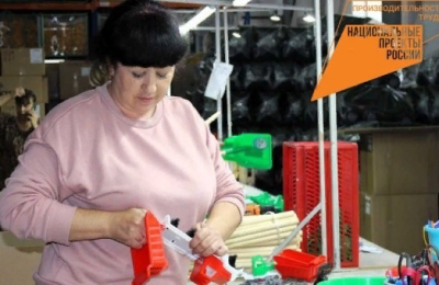Сузунский производитель игрушек нарастит производство благодаря нацпроекту