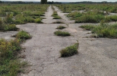 Загадку появления взлетно-посадочной полосы в поле Сузунского района расследуют в Новосибирской области