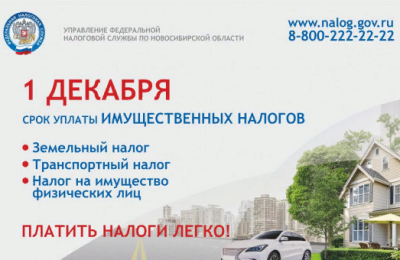 УФНС России по Новосибирской области напоминает: не позднее 1 декабря нужно уплатить имущественные налоги!