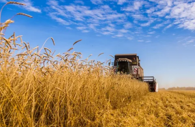 Губернатор Травников: Роста цен на зерно мы не прогнозируем