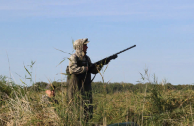 Получить разрешение на весеннюю охоту в Новосибирской области можно через Госуслуги