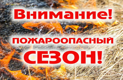 Особый противопожарный режим установлен в Новосибирской области