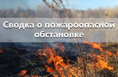 Оперативные данные: с начала пожароопасного сезона на территории Новосибирской области возникло 23 лесных пожара