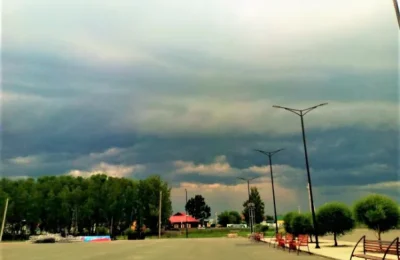 В Новосибирской области на последней рабочей неделе июня сохранятся жара до +31° и дожди