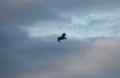 Прямо по курсу ‒ конь: самолёт из Новосибирска внезапно встретил в небе лошадь