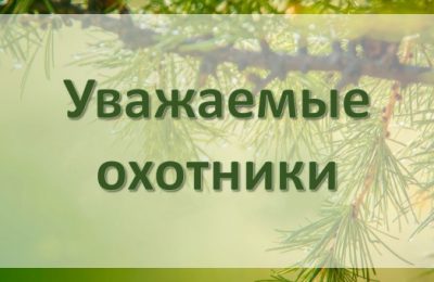 Состоялась жеребьевка по распределению разрешений на добычу косули сибирской и лося