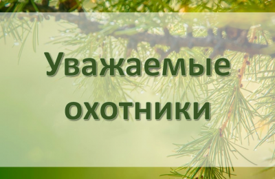 Минприроды региона начинает прием заявлений и выдачу разрешений на добычу копытных животных