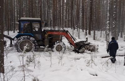 Заботиться о лесе