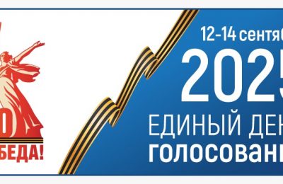 В Избирательной комиссии Новосибирской области работает горячая линия