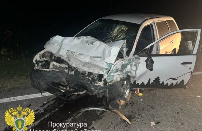 Трагическое ДТП в Сузунском районе: погибли два подростка 