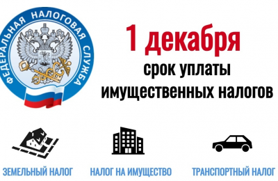 Уплатите налоги не позднее 1 декабря 2025 года