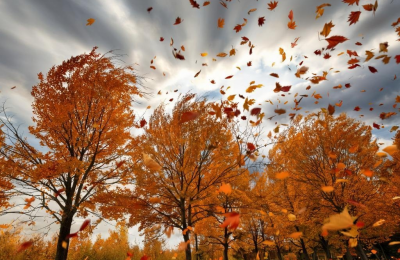 Шквалистый  ветер оставил без света жителей двух населенных пунктов Сузунского района