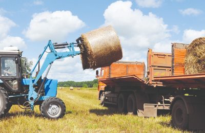 Итоги года, вызовы и перспективы