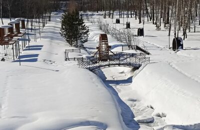 Участие в жизни парка