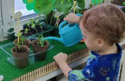 Огород на подоконнике