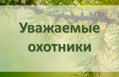 Важная информация для охотников
