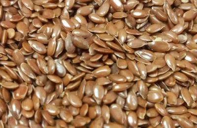 Ученые НГТУ НЭТИ разработали экологичный гель для обработки семян