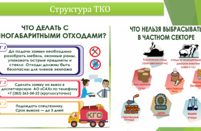 Куда выбросить ветки, а куда — холодильник?