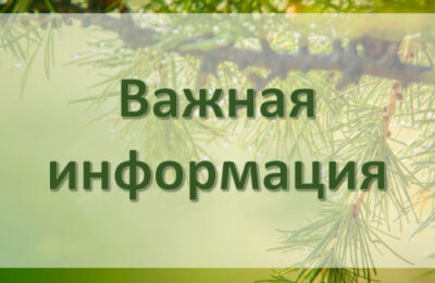 Уважаемые охотники, обратите внимание на график выдачи разрешений на добычу охотничьих ресурсов