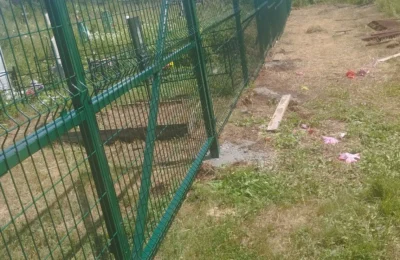 Поддержку получили отовсюду