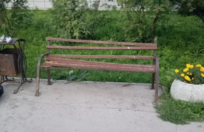 С такими друзьями и врагов не надо