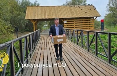 Массовая гибель уток на реке