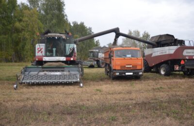 Первое агропредприятие района завершило уборку