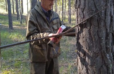 Сергей Забецкий: «Мною движет красота»