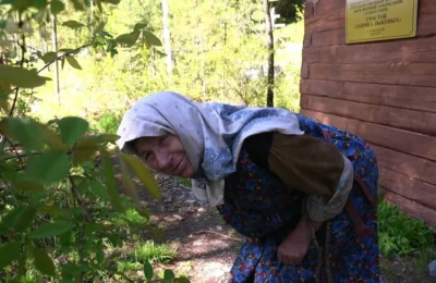 На заимку медведь заглянул