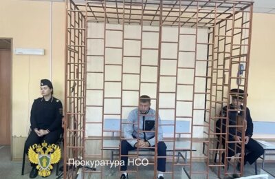 Вошли в доверие